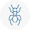 Ant Removals In Hinckley