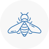 Bee Nest Removal Hinckley