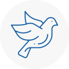 Bird Prevention Hinckley