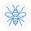 Hinckley Hornet Nest Removals