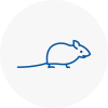 Mice Exterminators In Hinckley