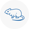 Rat Control Hinckley