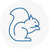 Hinckley Rodent Removals