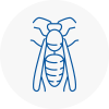 Hinckley Wasp Nest Removal